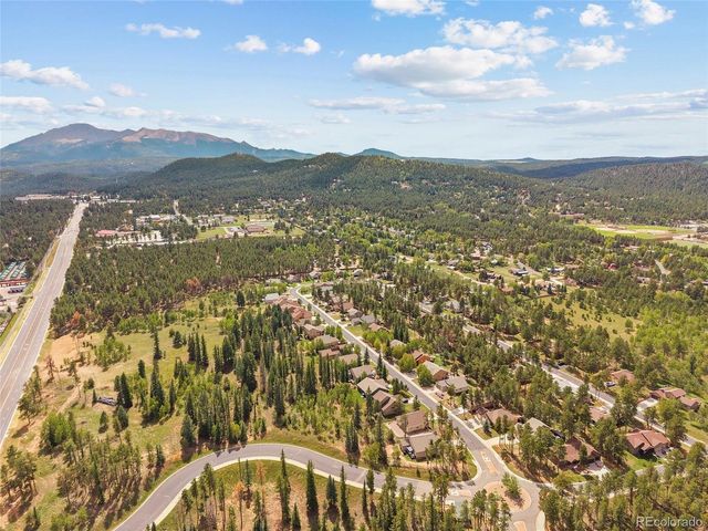 1113 Ptarmigan Dr, Woodland Park, CO 80863