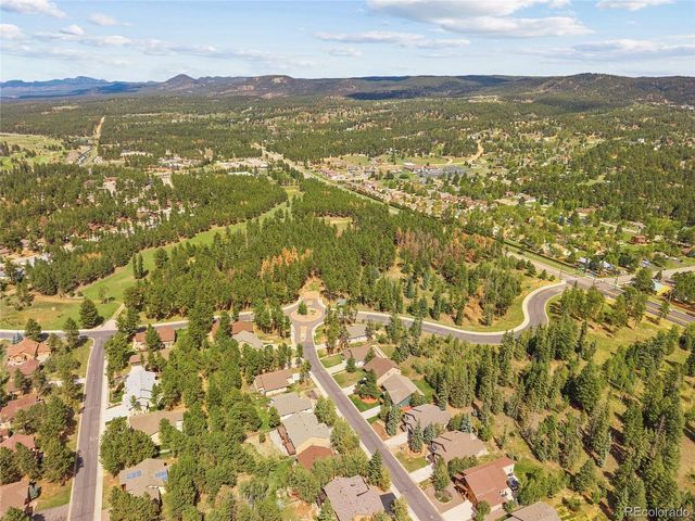 1113 Ptarmigan Dr, Woodland Park, CO 80863
