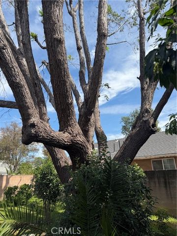 7232 Zelzah, Reseda (los Angeles), CA 91335