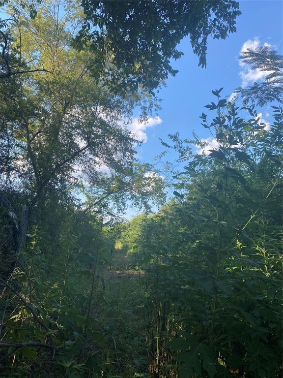 LOT 41 Harris, Sulphur Springs, TX 75482