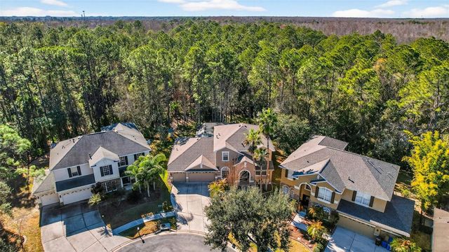 6604 PORTLAND OAK COURT, Tampa, FL 33647