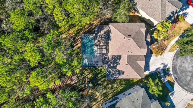 6604 PORTLAND OAK COURT, Tampa, FL 33647