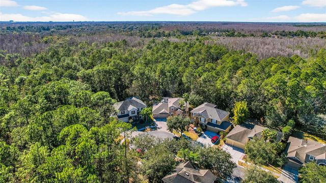 6604 PORTLAND OAK COURT, Tampa, FL 33647