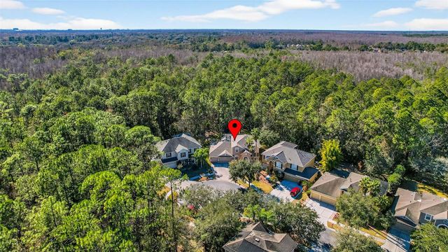 6604 PORTLAND OAK COURT, Tampa, FL 33647