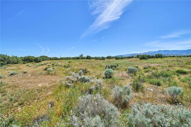 0 Phelan, Phelan, CA 92371