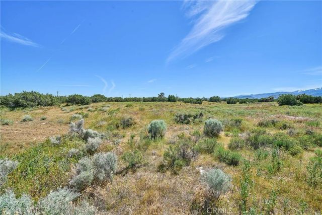 0 Phelan, Phelan, CA 92371