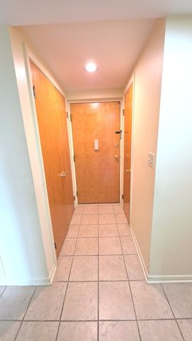 5300 Walnut Avenue 19C, Downers Grove, IL 60515
