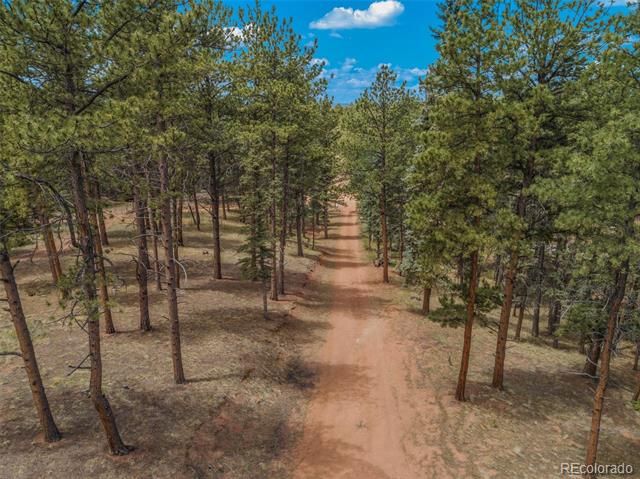 46 Kingston Circle, Florissant, CO 80816