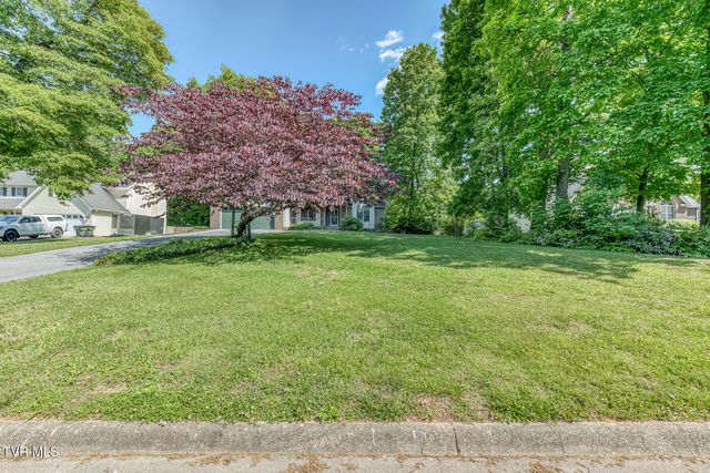 120 Hillview Court, Gray, TN 37615