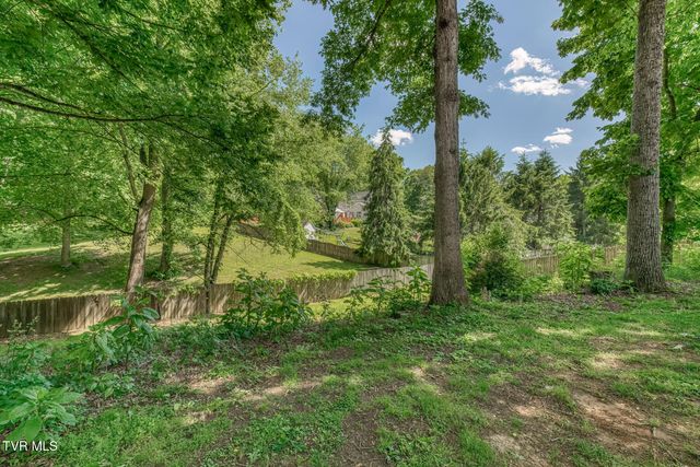 120 Hillview Court, Gray, TN 37615
