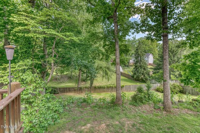 120 Hillview Court, Gray, TN 37615
