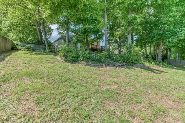 120 Hillview Court, Gray, TN 37615