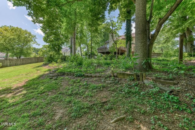 120 Hillview Court, Gray, TN 37615