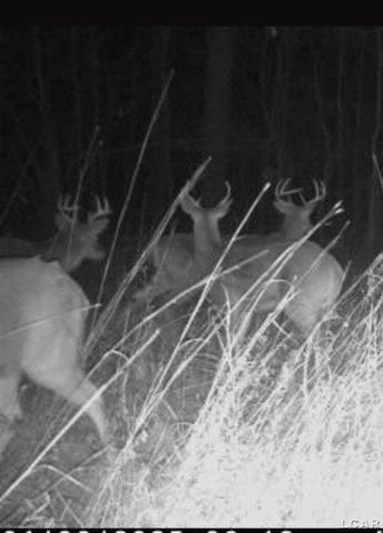 1704 E Carleton Road, Adrian, MI 49221