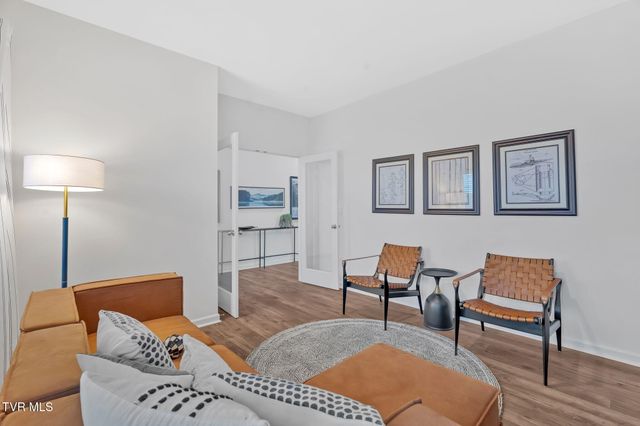 219 Artist Avenue, Johnson City, TN 37615