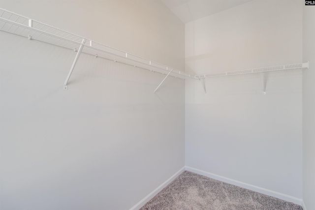 1016 Quarter Horse Court, Lexington, SC 29072