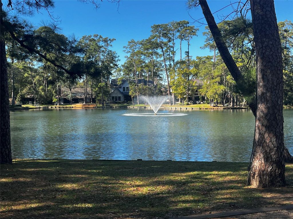 15 Lorrielake Lane, Houston, TX 77024