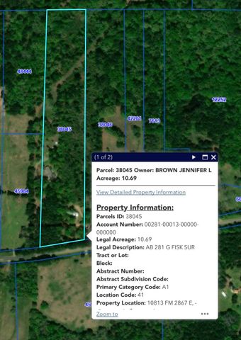 10813 E FM 2867, Henderson, TX 75654