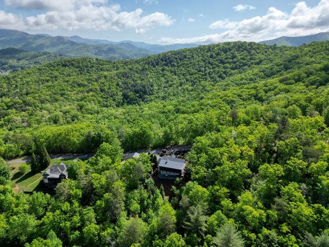 2406 Big Cove Drive, Hiawassee, GA 30546