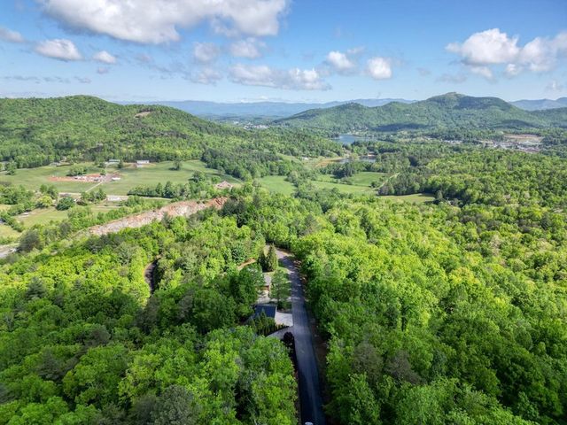 2406 Big Cove Drive, Hiawassee, GA 30546