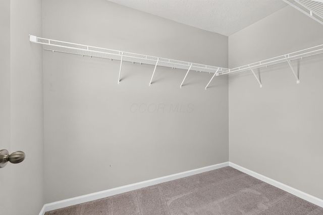 508 Skyway Drive, Springfield, OH 45505
