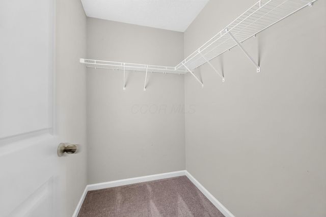 508 Skyway Drive, Springfield, OH 45505