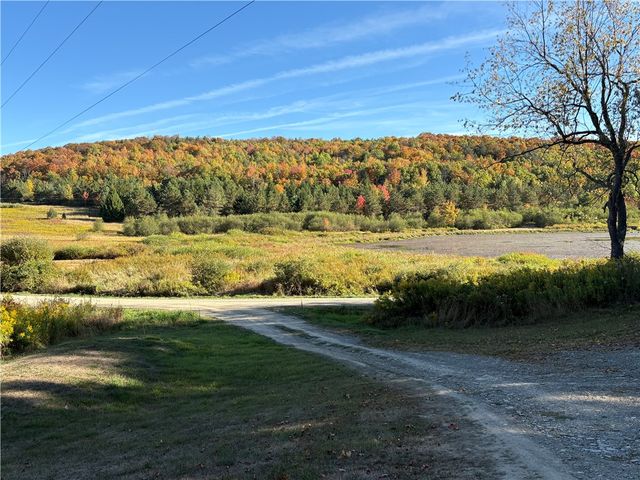 1049 Shea Road, Orange, NY 14812