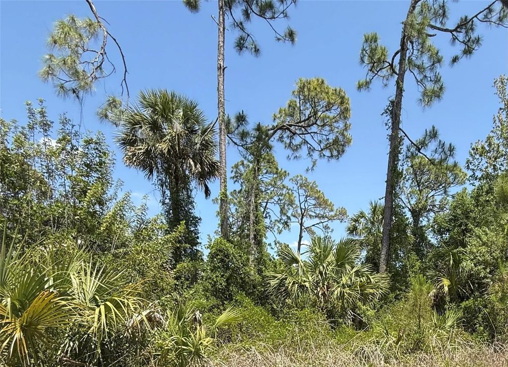 Lot 15 COASTAL STREET, North Port, FL 34288