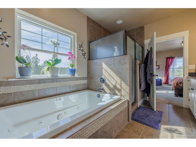 293 Daniwood Grv, Florissant, CO 80816
