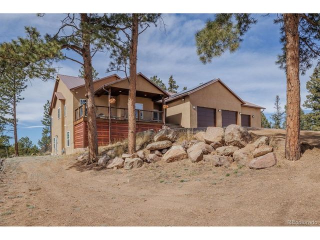 293 Daniwood Grv, Florissant, CO 80816
