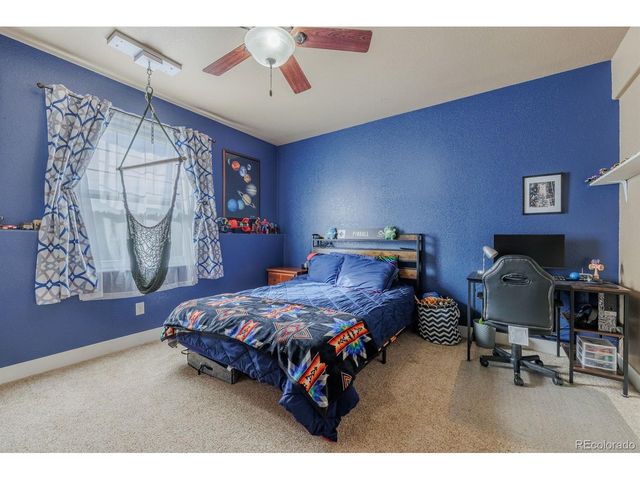 293 Daniwood Grv, Florissant, CO 80816