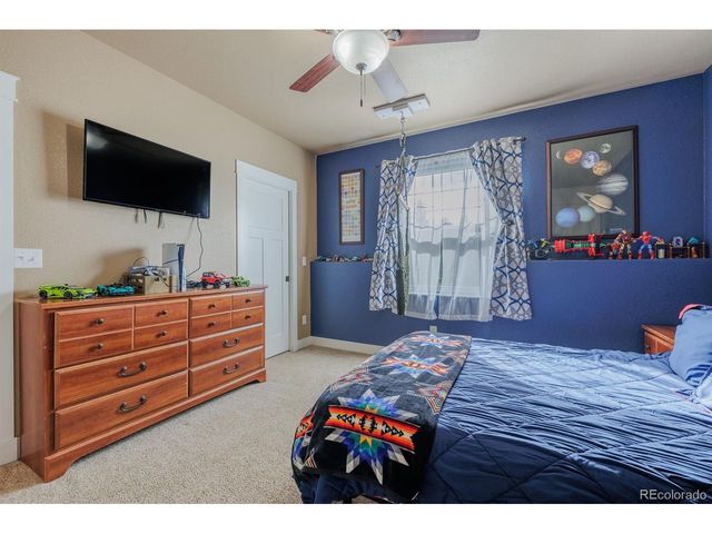 293 Daniwood Grv, Florissant, CO 80816