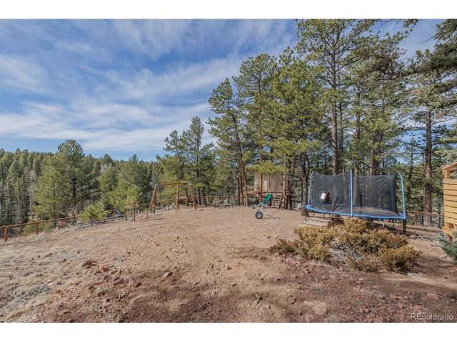293 Daniwood Grv, Florissant, CO 80816