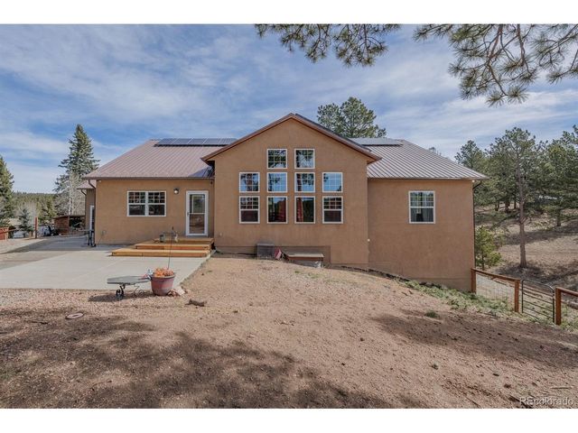 293 Daniwood Grv, Florissant, CO 80816