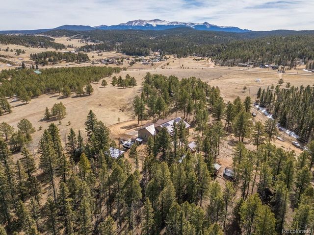 293 Daniwood Grv, Florissant, CO 80816