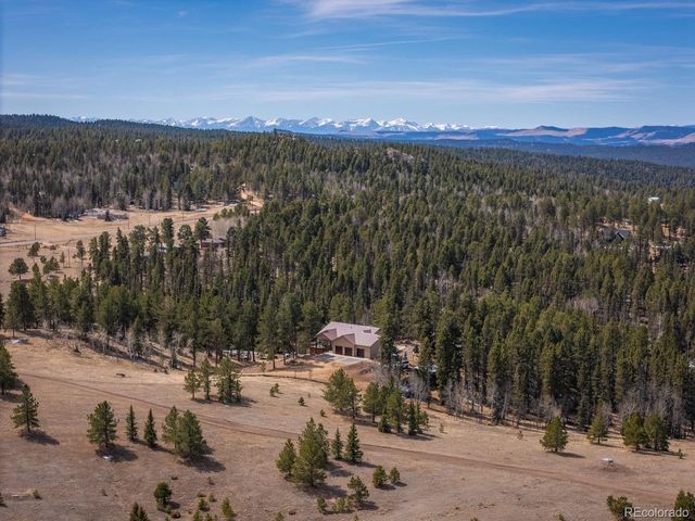 293 Daniwood Grv, Florissant, CO 80816