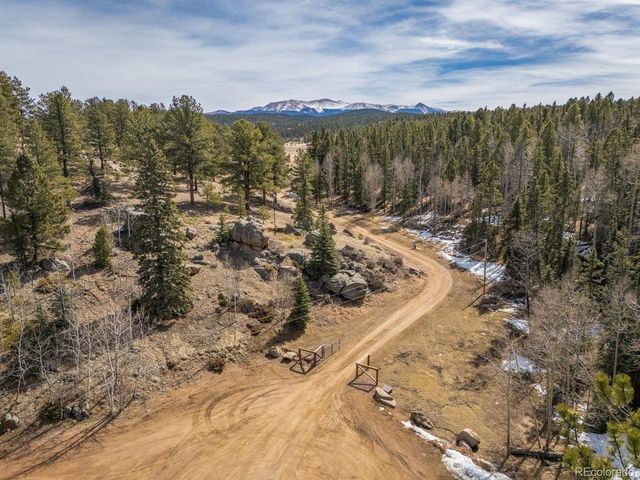 293 Daniwood Grv, Florissant, CO 80816