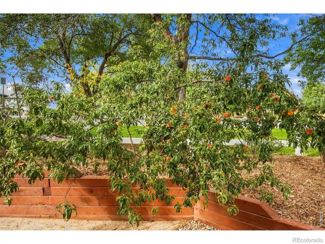 5586 Stone Church Court, Loveland, CO 80537
