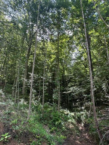 00 Hopper Creek Road, London, KY 40744