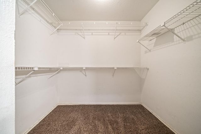 2023 Gentryside Drive 204, Houston, TX 77077