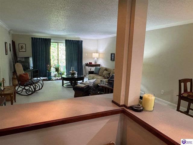 107 Freeman Green Drive, Elizabethtown, KY 42701