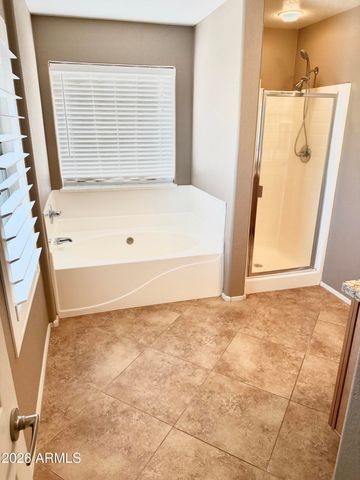 788 E COWBOY COVE Trail, San Tan Valley, AZ 85143