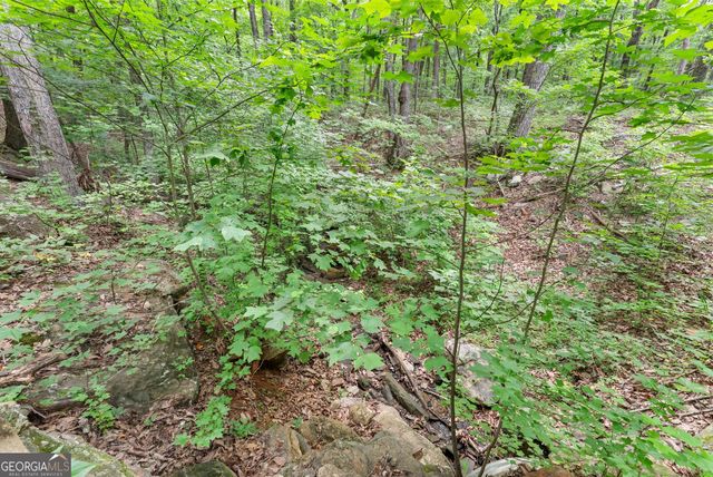 0 Wauka Ridge Road, Clermont, GA 30527