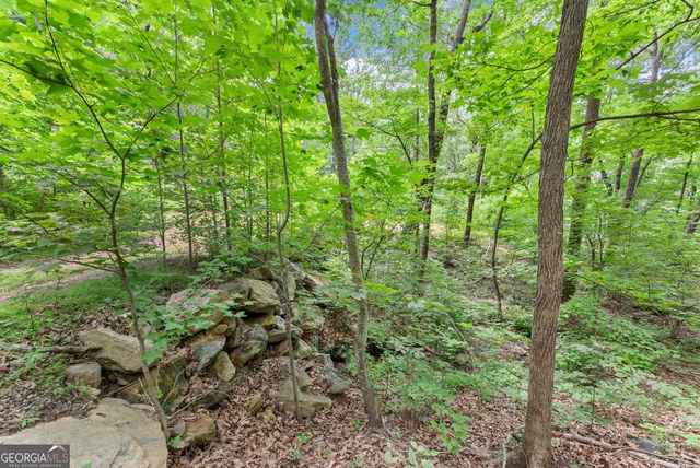0 Wauka Ridge Road, Clermont, GA 30527