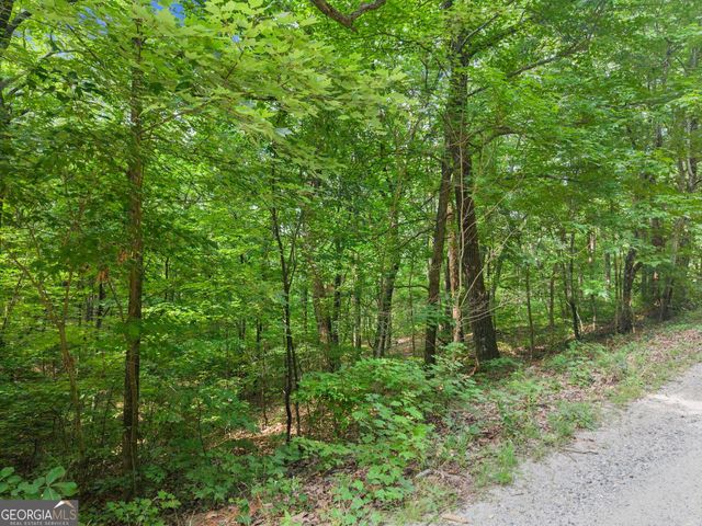 0 Wauka Ridge Road, Clermont, GA 30527