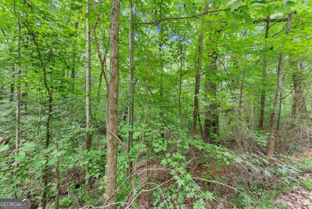 0 Wauka Ridge Road, Clermont, GA 30527