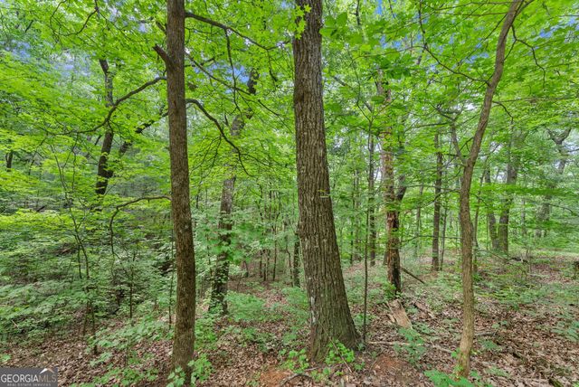 0 Wauka Ridge Road, Clermont, GA 30527