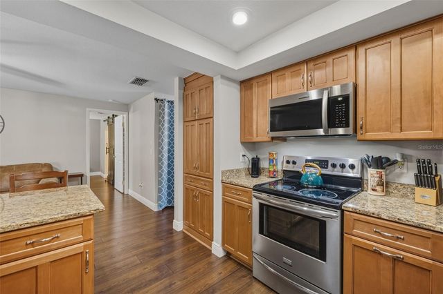 1309 RUSTLING OAKS DRIVE, Brandon, FL 33510