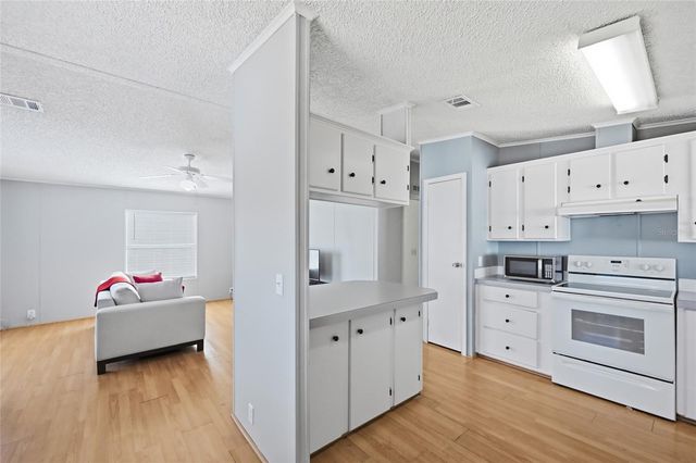 25323 CASA DEL LAGO LANE, Leesburg, FL 34748