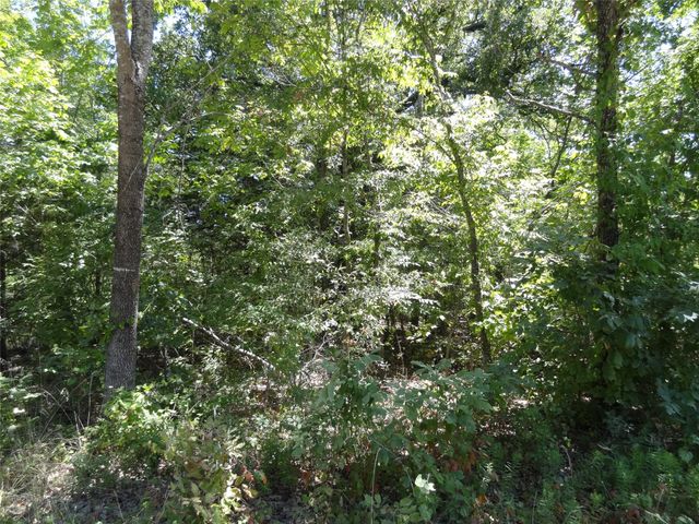 Lot 113 Westwood Drive, Trinidad, TX 75163